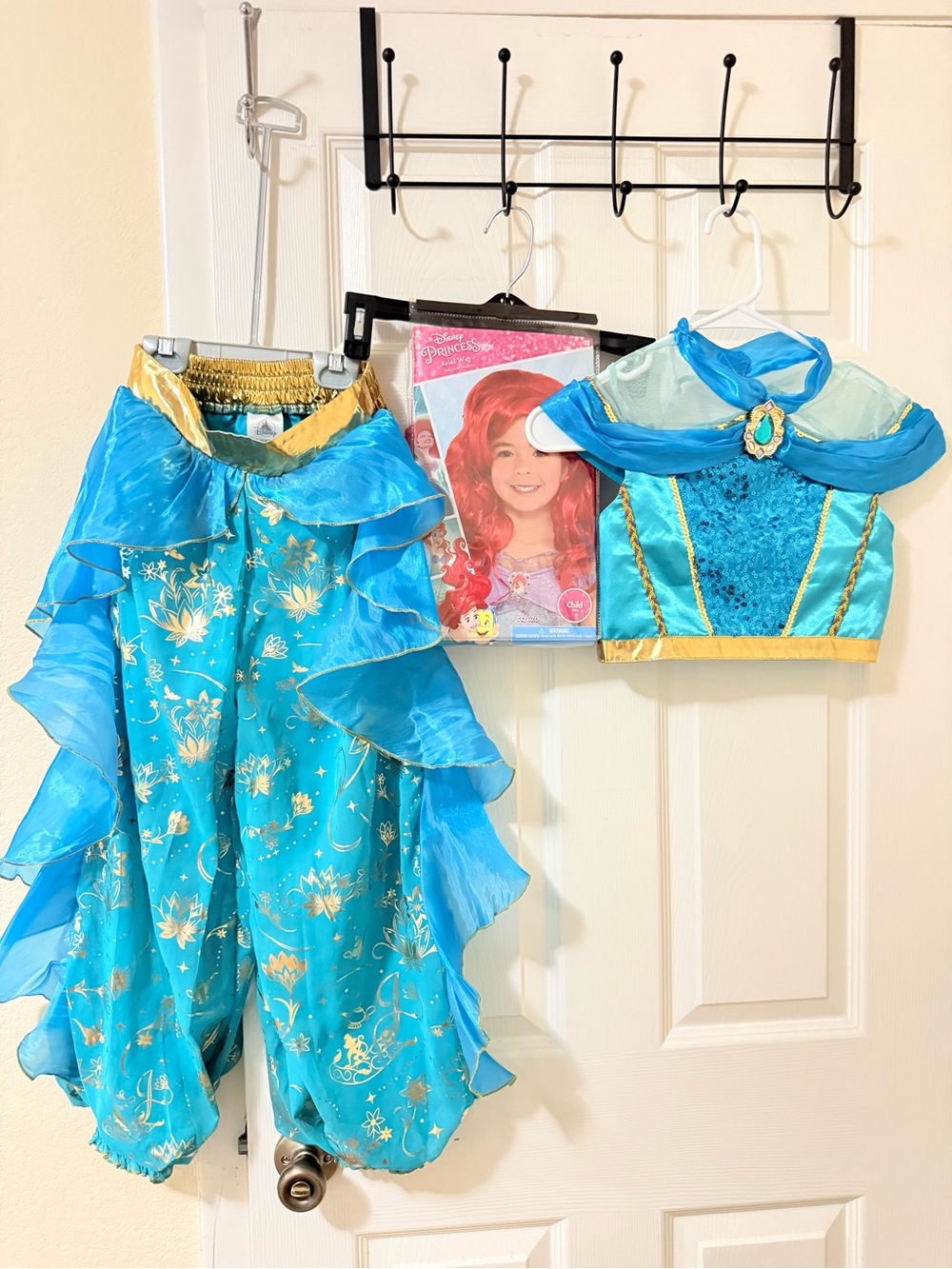 Disney Turquoise Blue and Gold Princess Genie Costume Set